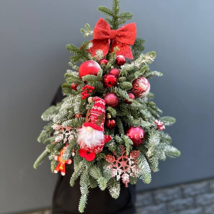 Новогодняя елочка "Red" в Красной Поляне