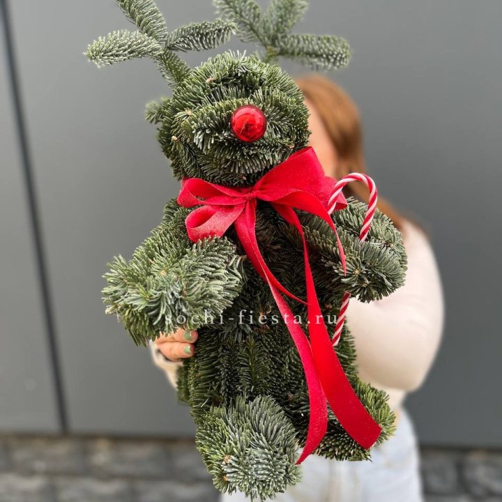 "Олень" из нобилиса в Красной Поляне