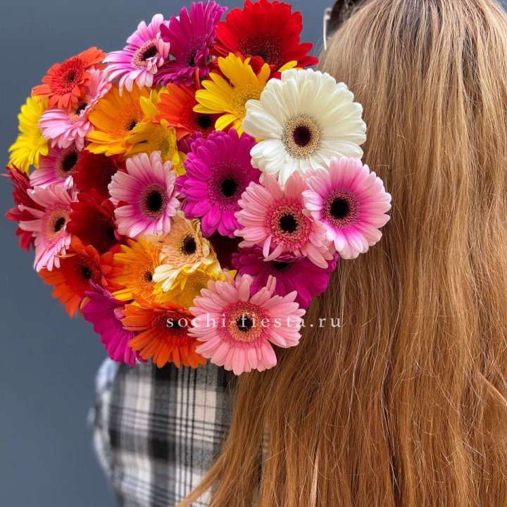 Охапка гербер  в Красной Поляне