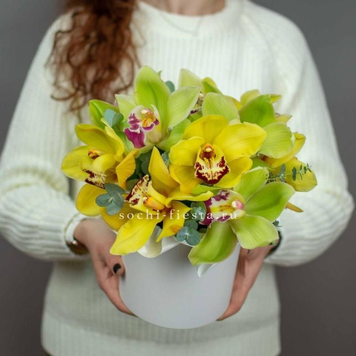 Бокс с орхидей №1 в Красной Поляне