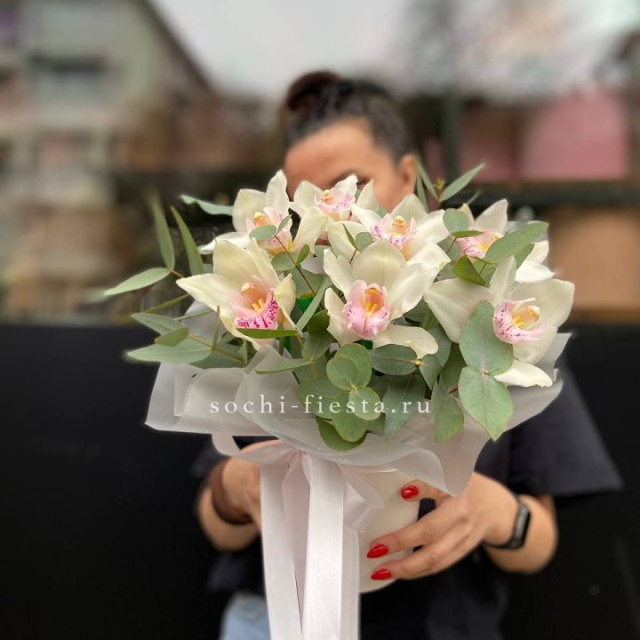 Бокс с орхидеями в Красной Поляне