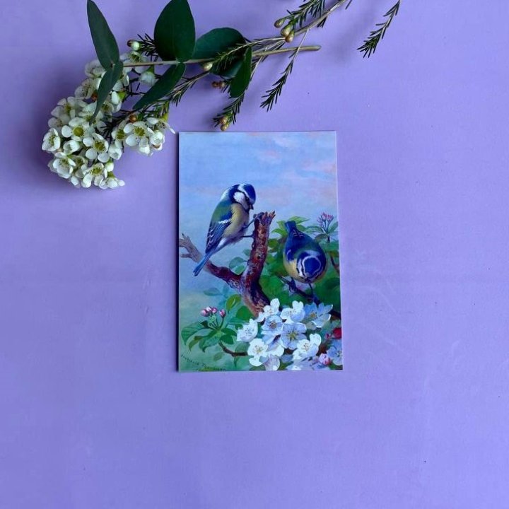 Открытка к букету "Птицы" в Красной Поляне