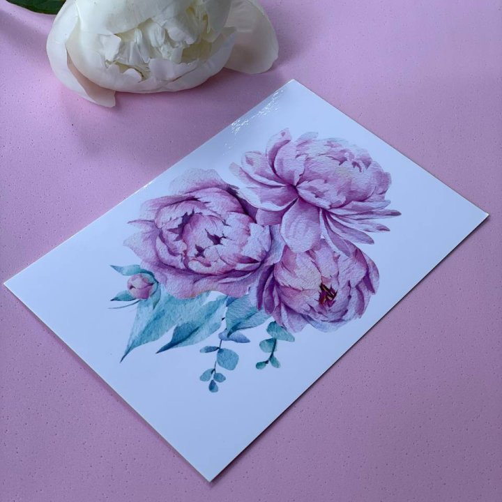 Открытка к букету "Пионы" в Красной Поляне