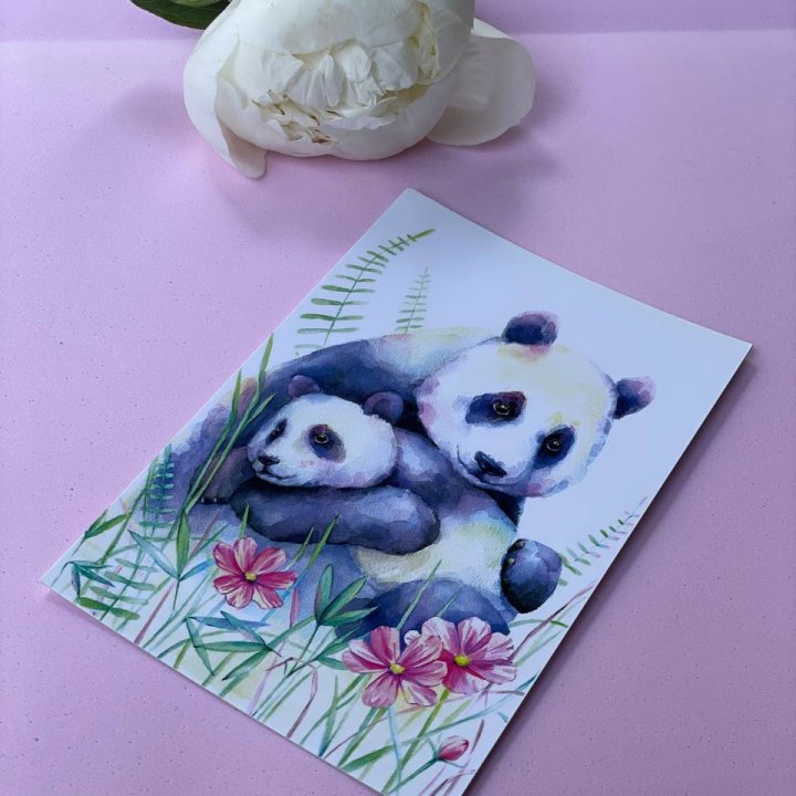 Открытка к букету "Объятие Панды" в Красной Поляне