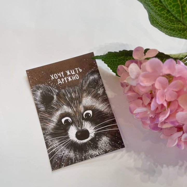 Открытка к букету "Енотик" в Красной Поляне