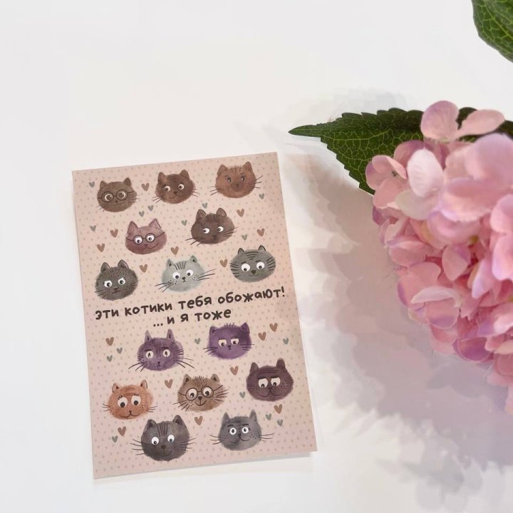 Открытка к букету "Котики" в Красной Поляне
