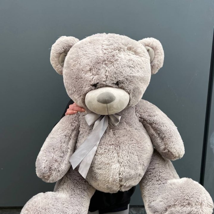 Плюшевый медведь №4 в Красной Поляне