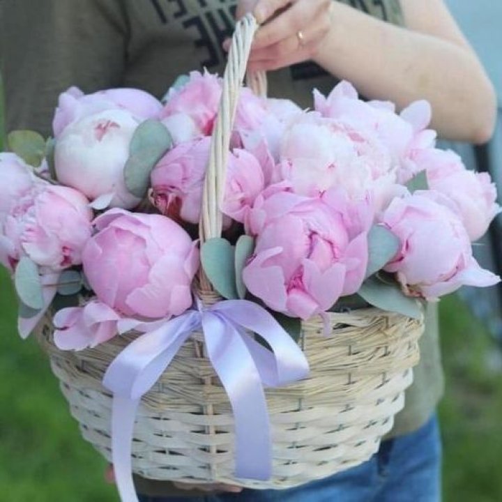 15 пионов в корзине в Красной Поляне