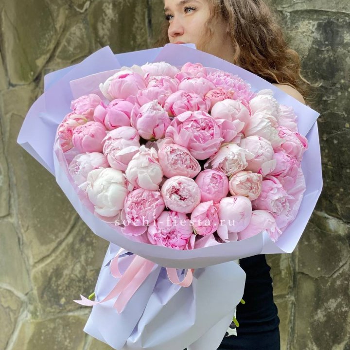 39 нежных пионов в Красной Поляне