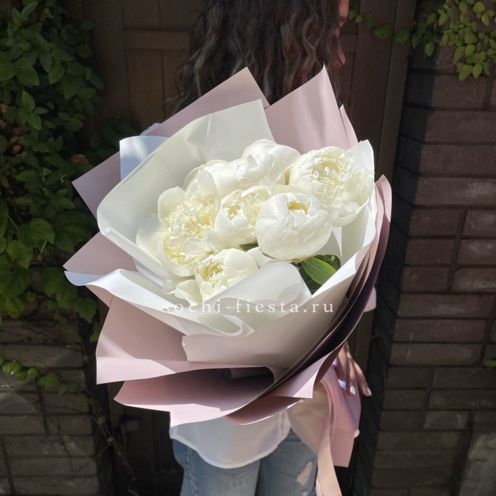 9 белоснежных пионов в Красной Поляне