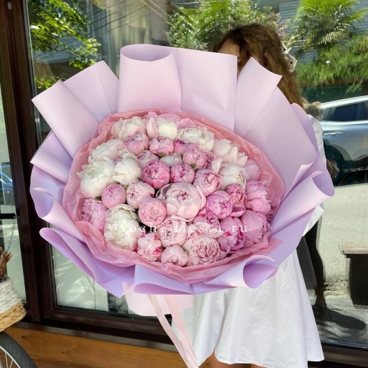 51 розовый пион в Красной Поляне