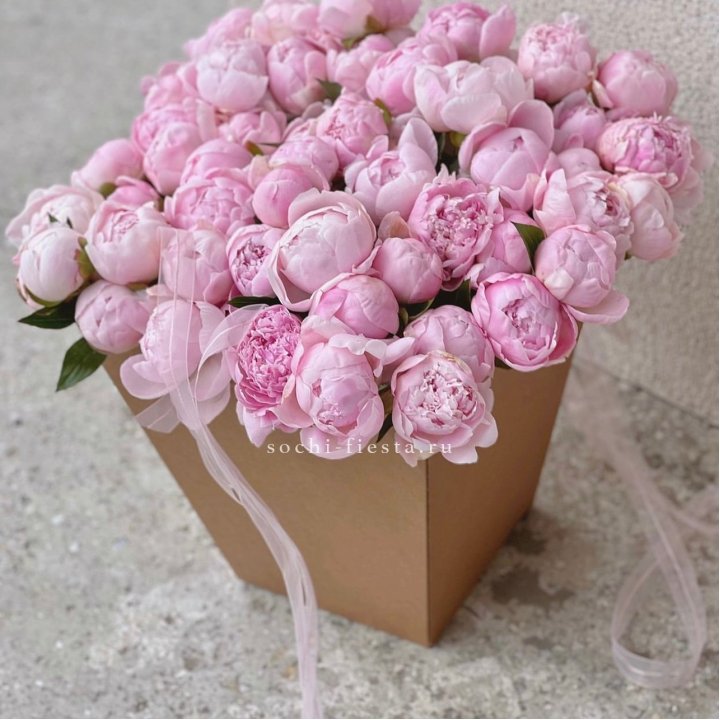 49 пионов в крафт коробке в Красной Поляне