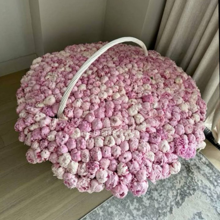 Корзина 555 пионов в Красной Поляне