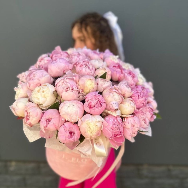 51 нежных пионов  в цилиндре в Красной Поляне