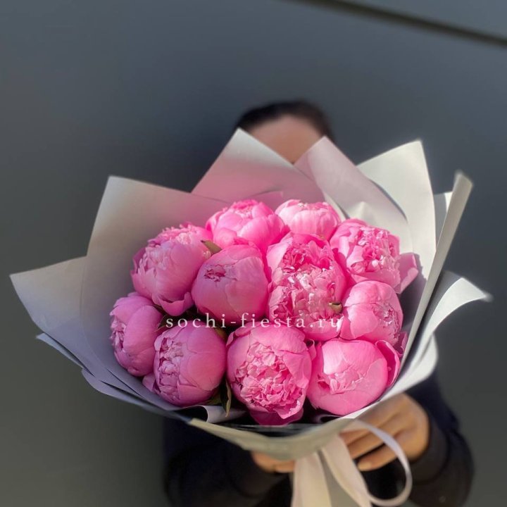Пионы Алекс флеминг в Красной Поляне