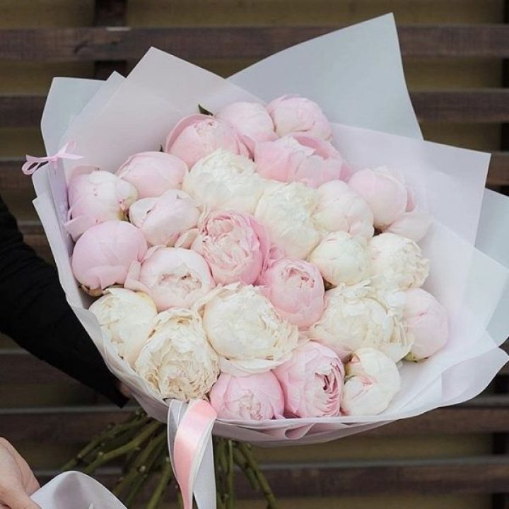 29 пионов в Красной Поляне