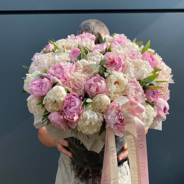 51 пионов в боксе в Красной Поляне