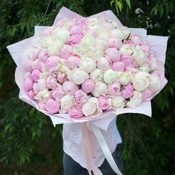 101 пион в Красной Поляне