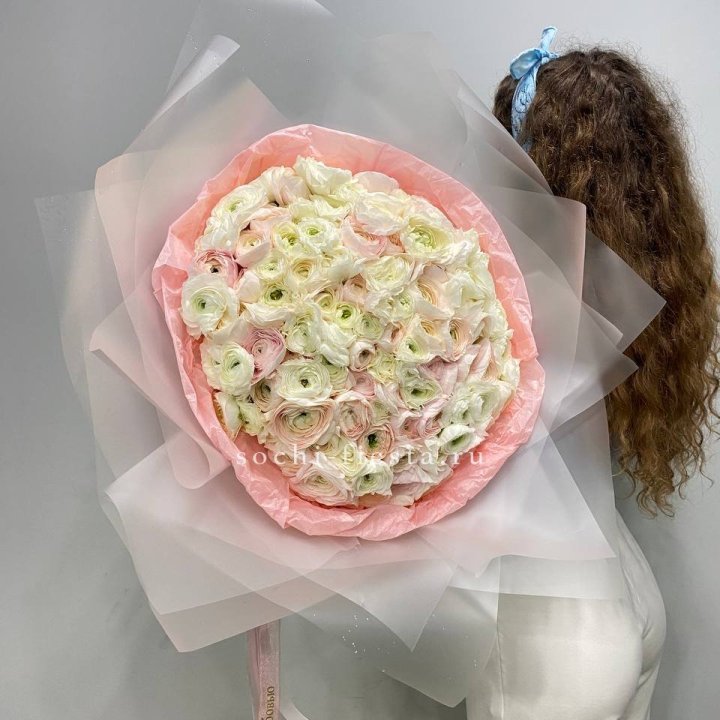 113 ранункулюсов  в Красной Поляне