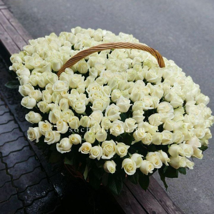 303 розы в корзине в Красной Поляне