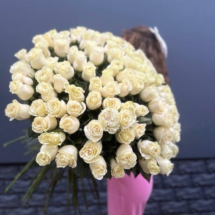 101 белая высокая импортная роза под ленту в Красной Поляне