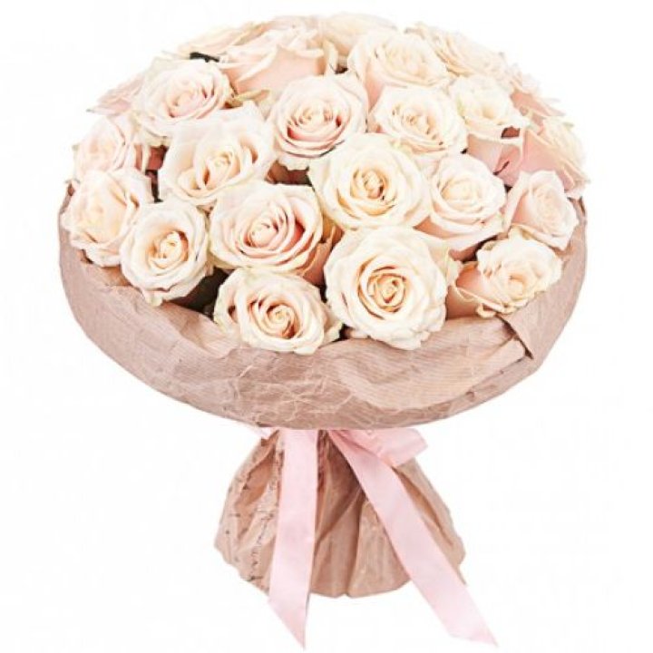 25 кремовых роз "Craft" в Красной Поляне