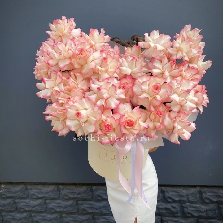 31 французская роза Джумилия в боксе в Красной Поляне