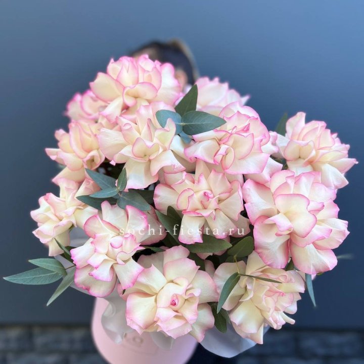 15 Французских роз Джумилия в боксе в Красной Поляне