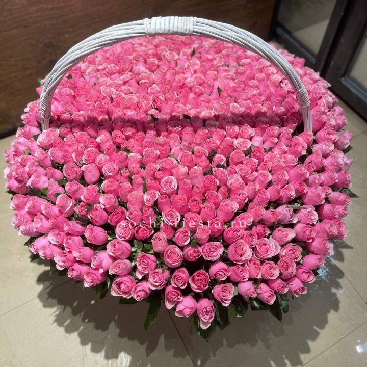 501 розовая роза в Красной Поляне