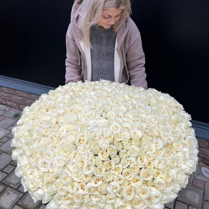 501 белая роза в корзине в Красной Поляне