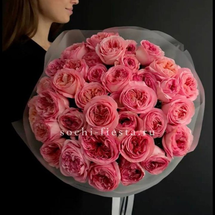 39 Пинк экспрешен  в Красной Поляне