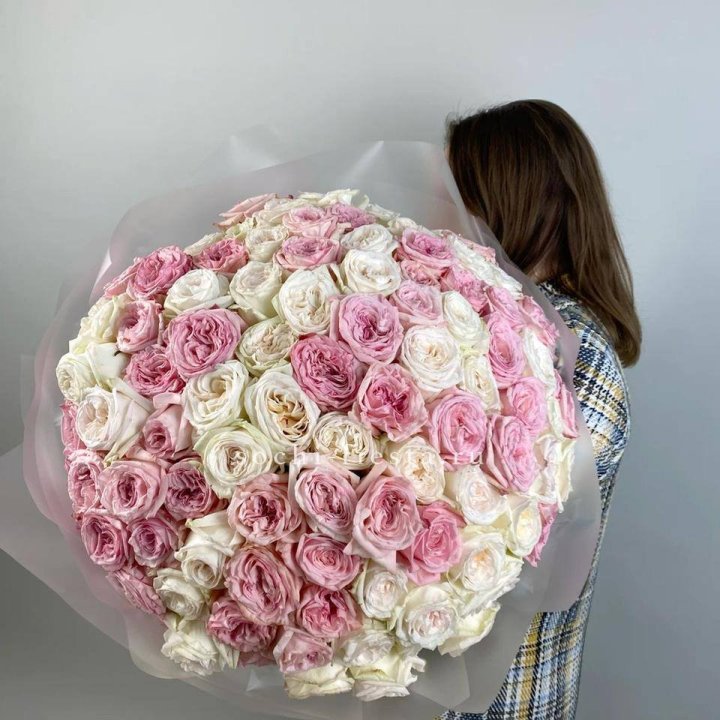 101 роз Охара в Красной Поляне