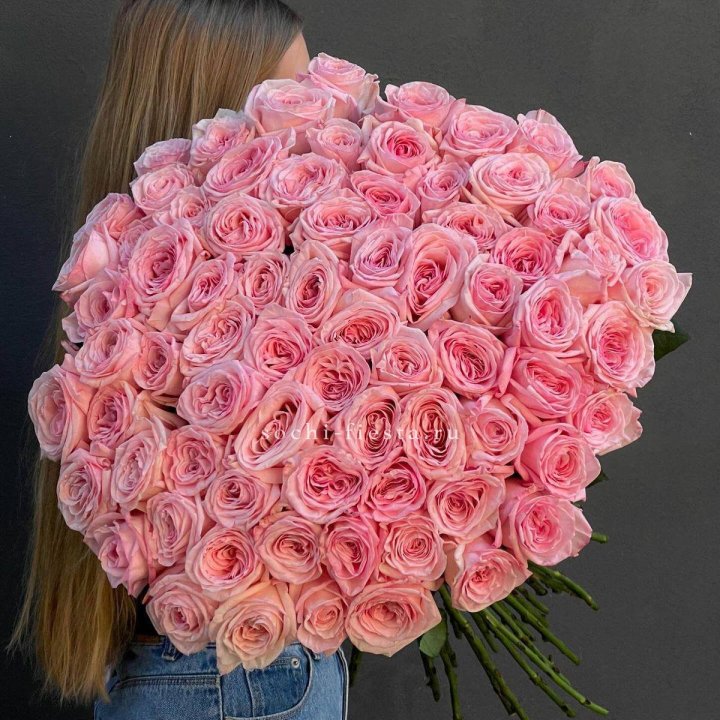 75 роз Охара в Красной Поляне