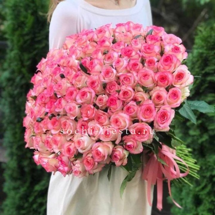 101  джумилия роза  в Красной Поляне