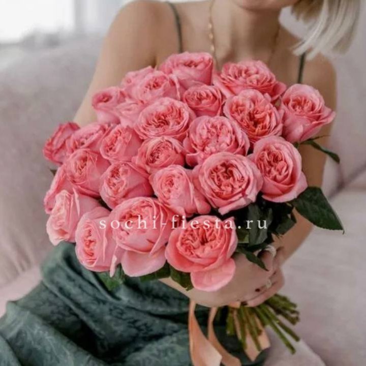 25 Пинк экспрешен  в Красной Поляне