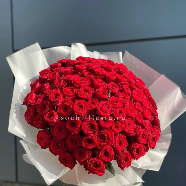 101 высокая роза в Красной Поляне