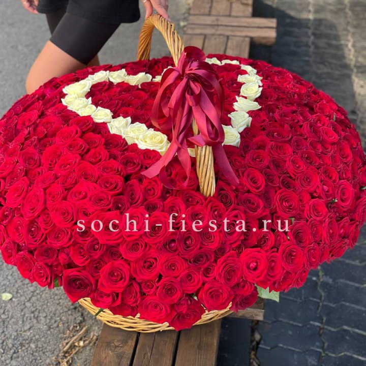 505 роз в Красной Поляне