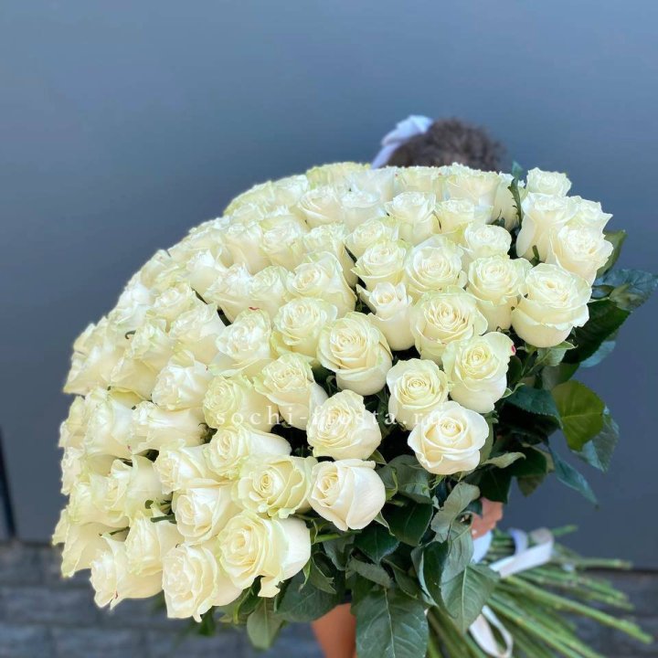 101 белая высокая роза в Красной Поляне