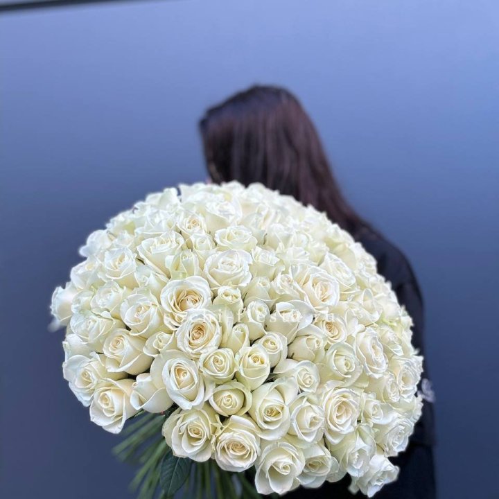 Охапка из 101 белой розы  с доставкой в Красной Поляне