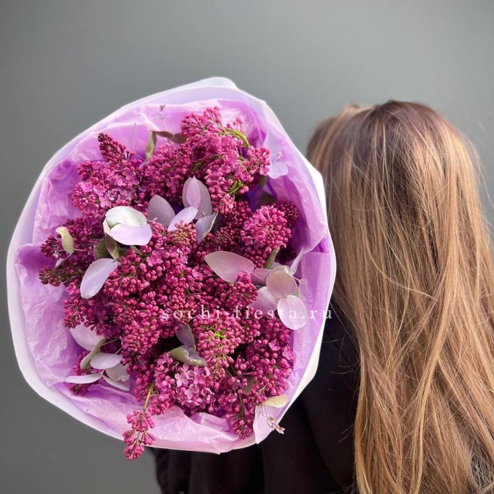 Букет сирени  в Красной Поляне