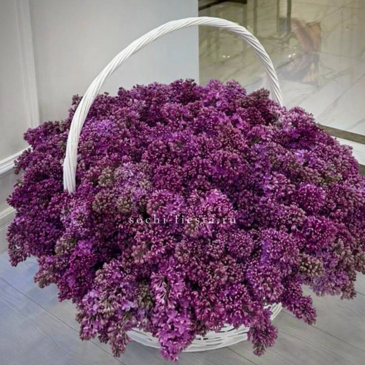 Корзина сирени в Красной Поляне