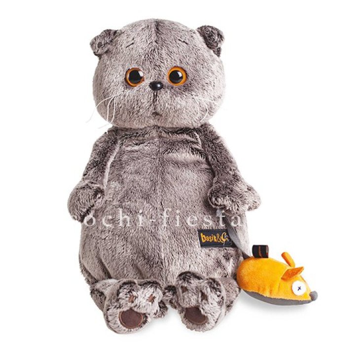 Кот Басик с мышкой в Красной Поляне