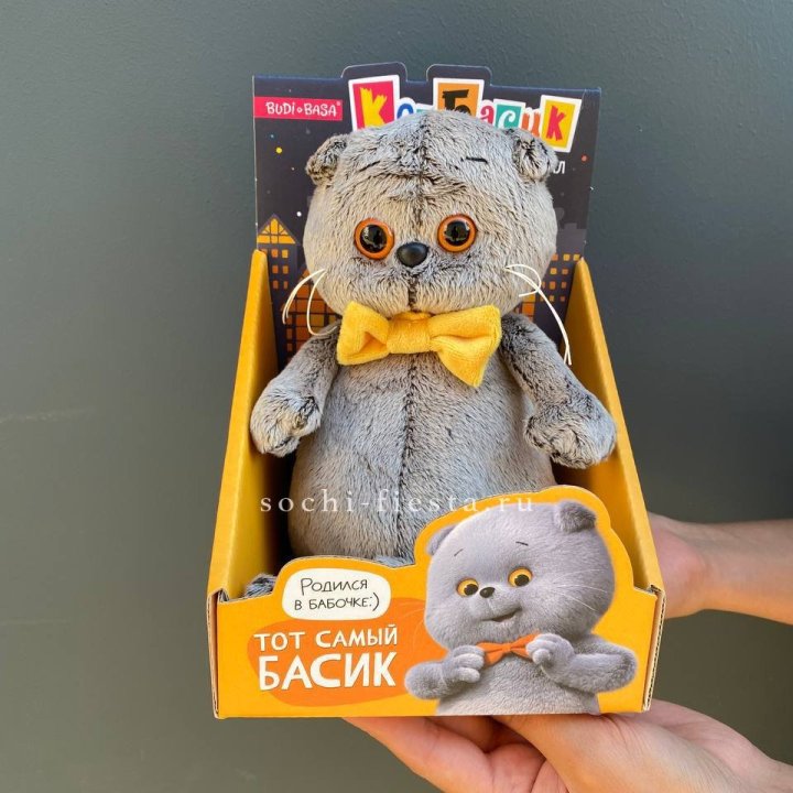 Кот Басик с бабочкой в Красной Поляне