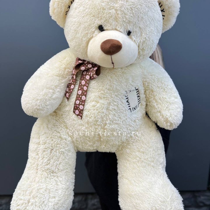 Плюшевый мишка средний в Красной Поляне