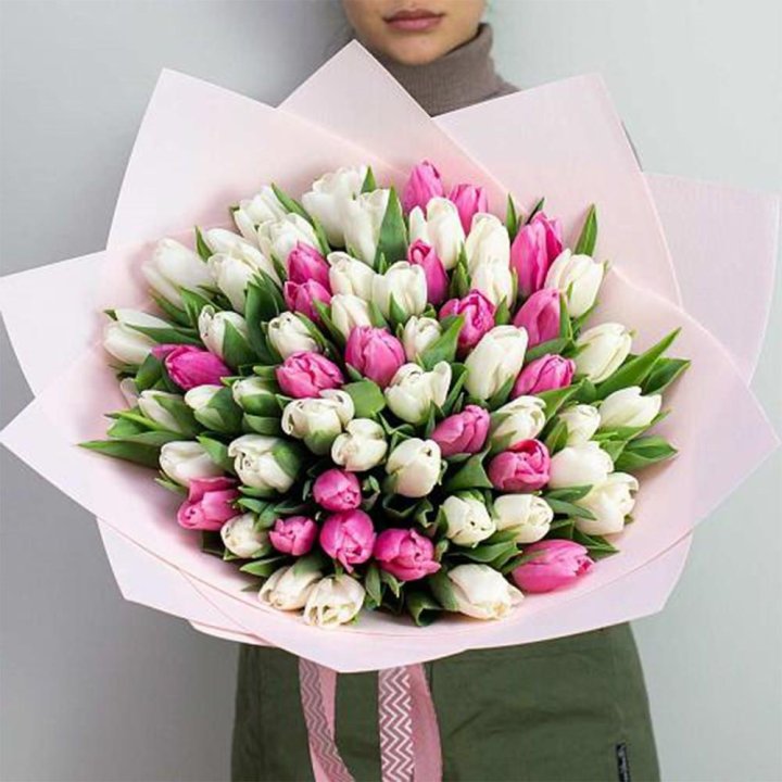 61 бело-розовый тюльпан в Красной Поляне