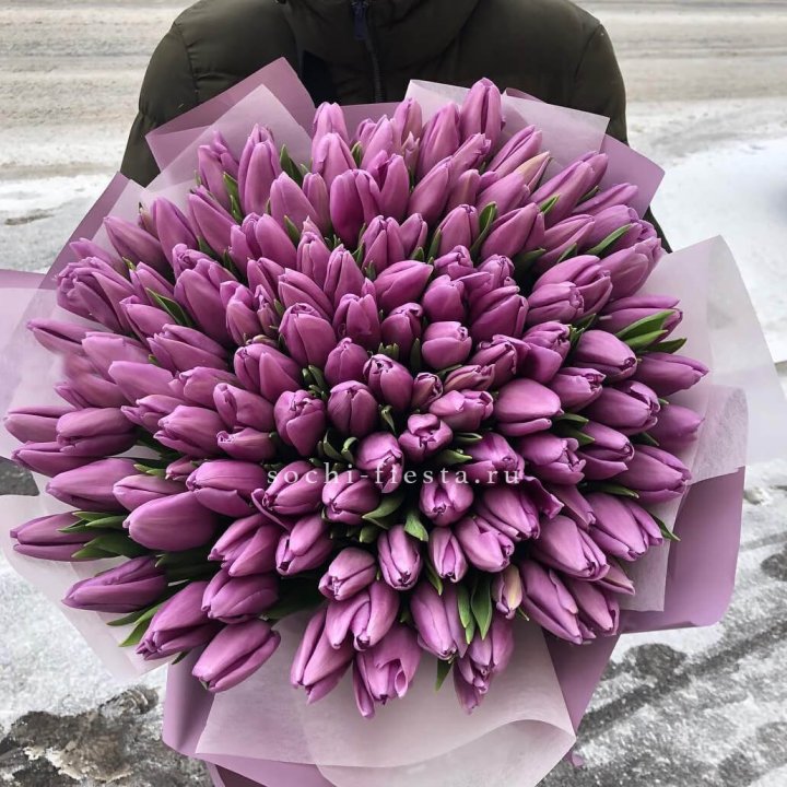 101 сиреневый тюльпан в Красной Поляне