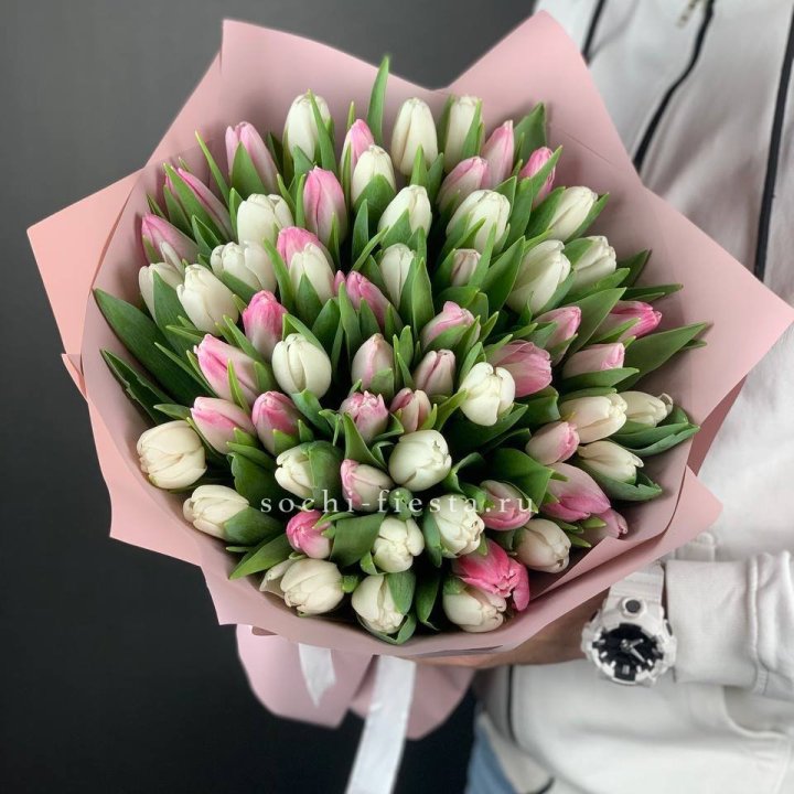 61 тюльпан микс в Красной Поляне