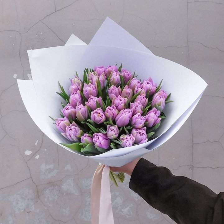 35 сиреневых тюльпанов в Красной Поляне
