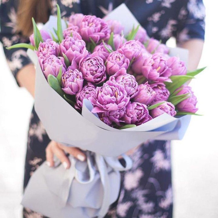 Тюльпаны "Пионс" в Красной Поляне