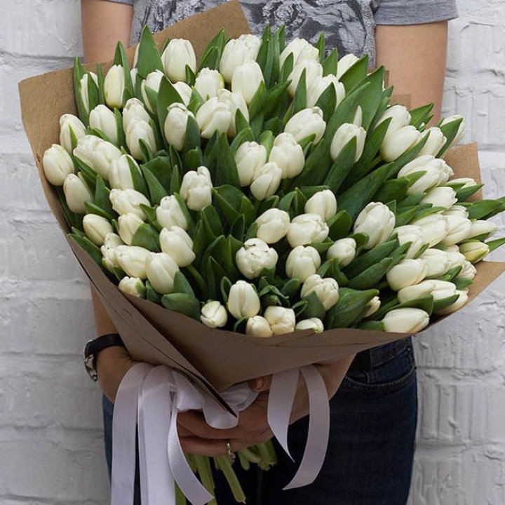 101 тюльпан SNOW в Красной Поляне